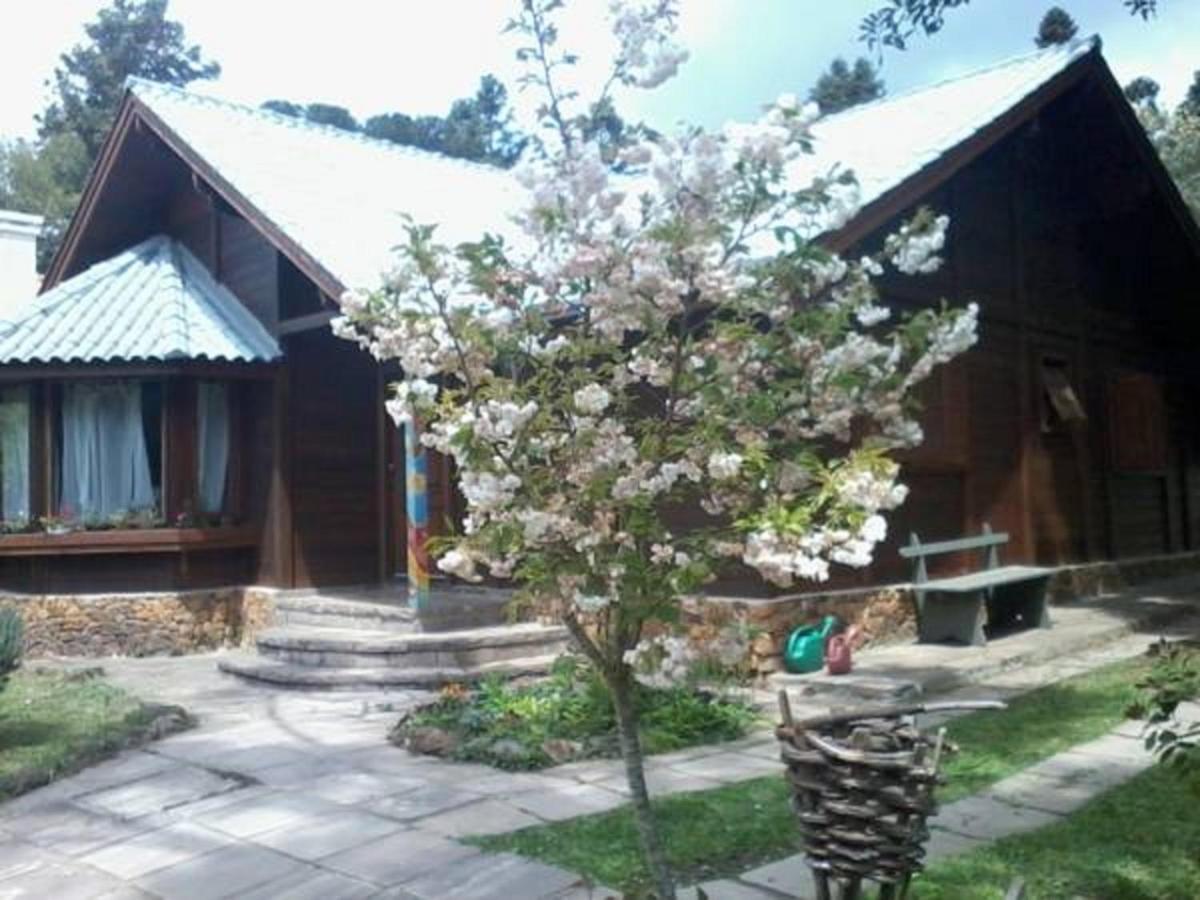 Chale Martinho Villa Gramado Kültér fotó