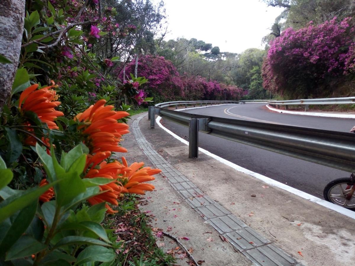 Chale Martinho Villa Gramado Kültér fotó