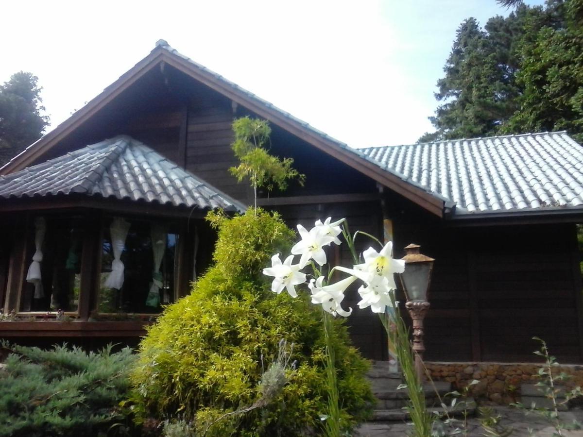 Chale Martinho Villa Gramado Kültér fotó