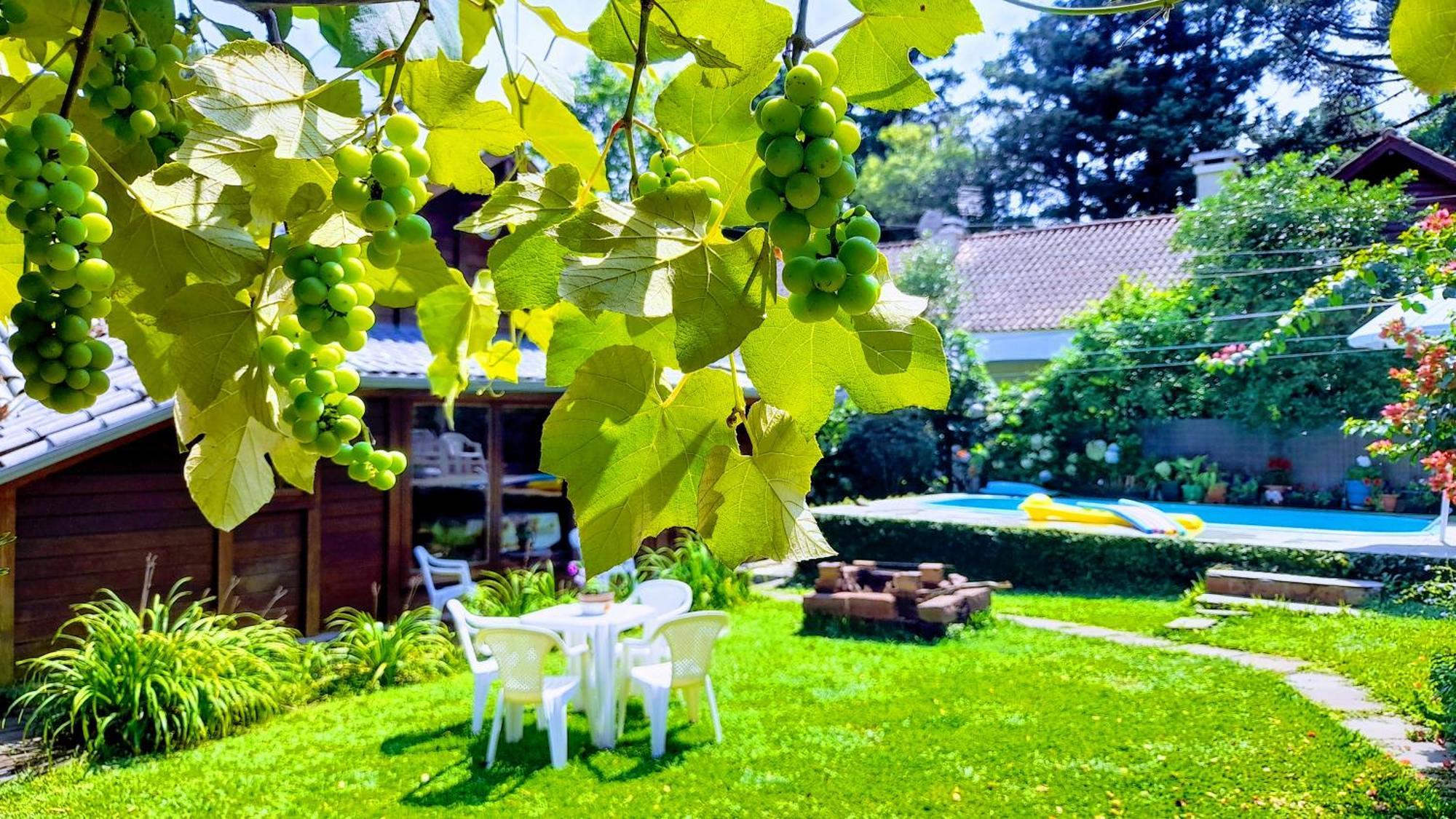 Chale Martinho Villa Gramado Kültér fotó