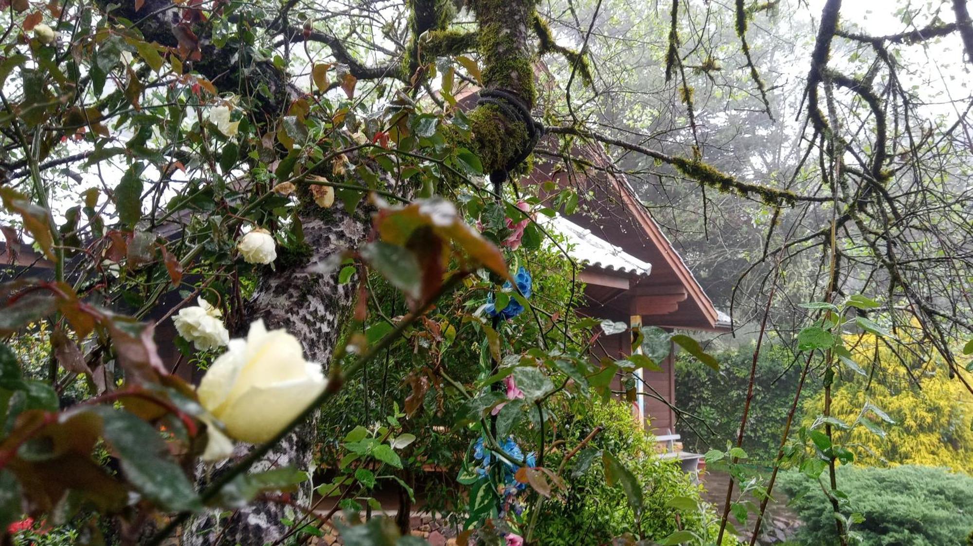 Chale Martinho Villa Gramado Kültér fotó
