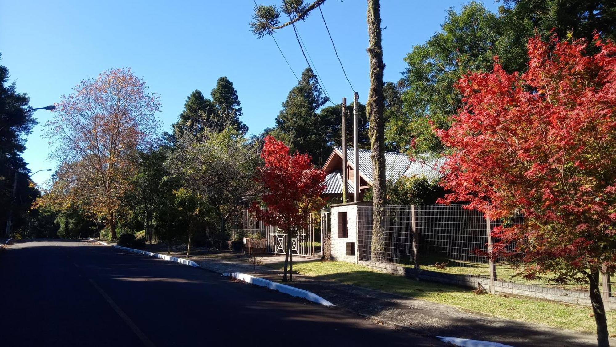 Chale Martinho Villa Gramado Kültér fotó