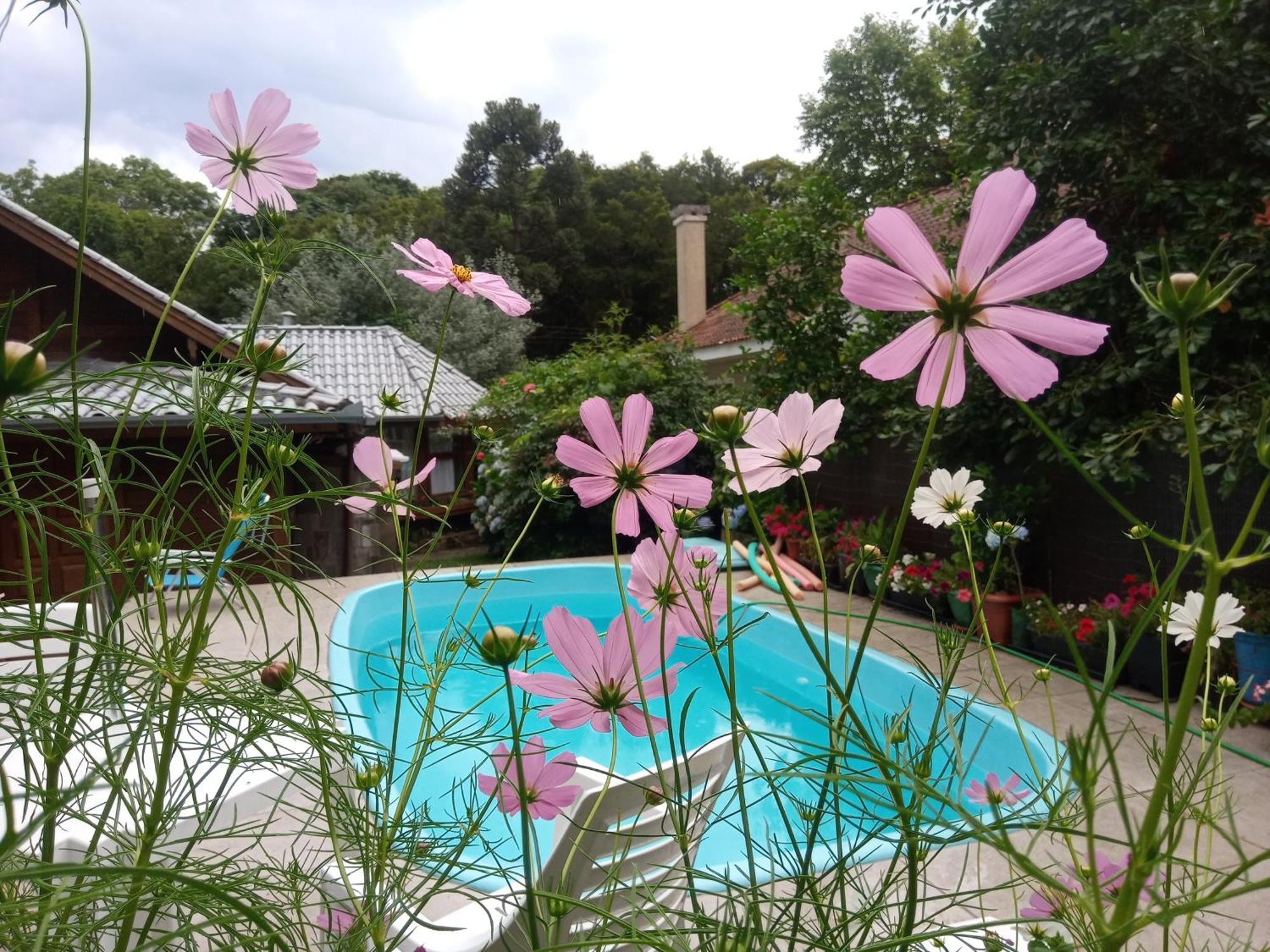 Chale Martinho Villa Gramado Kültér fotó
